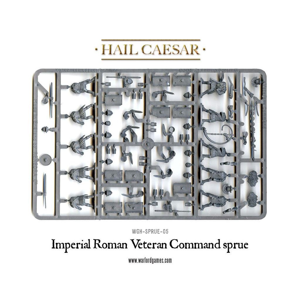 Hail Caesar - Early Imperial Romans: Veterans