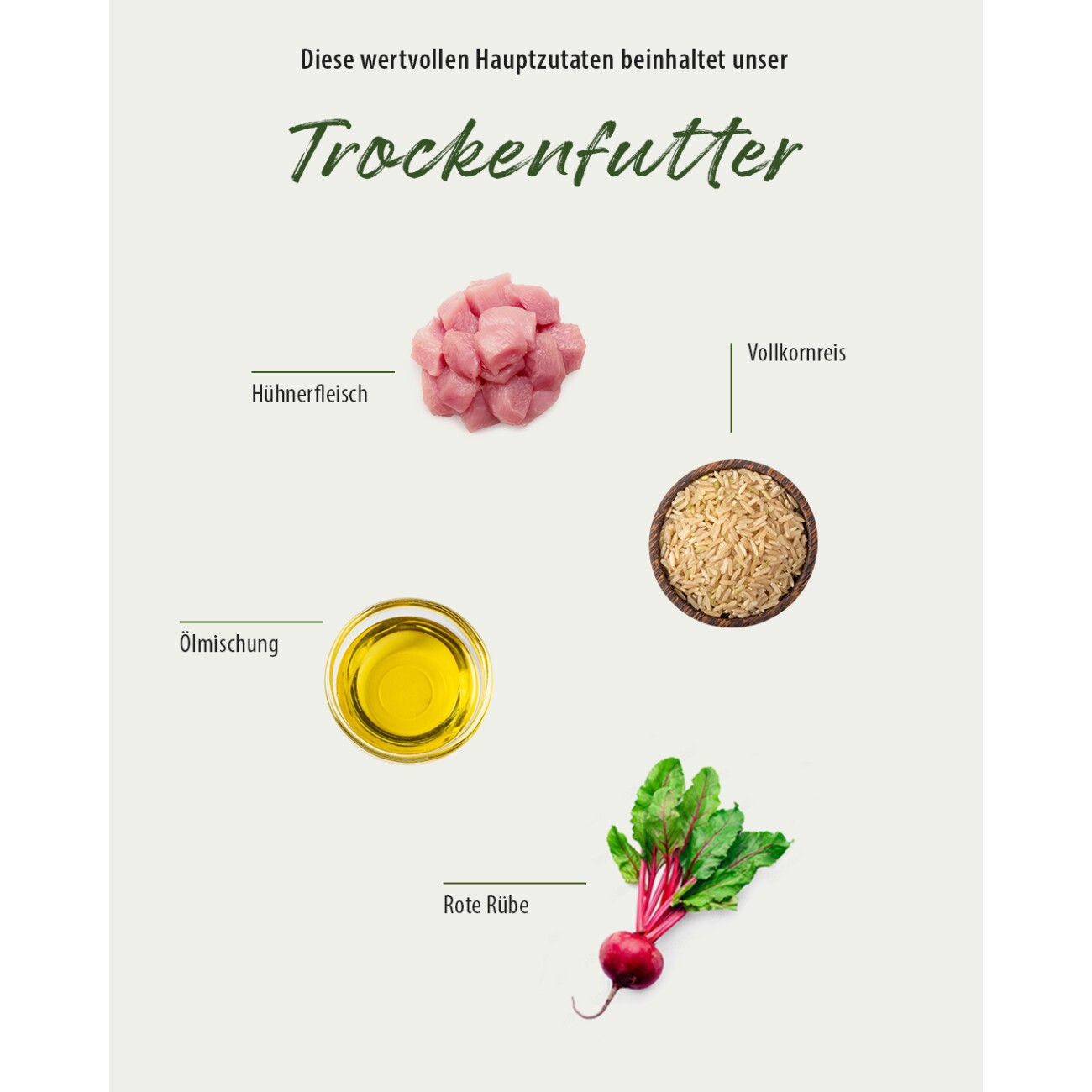 GREEN PAWLY ® Trockenfutter, Huhn Complete + 10 Superfoods 5 kg