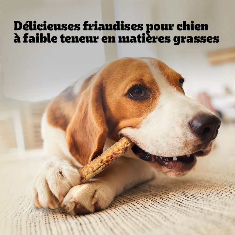 Pedigree Ranchos Rouleaux à mâcher Maxi