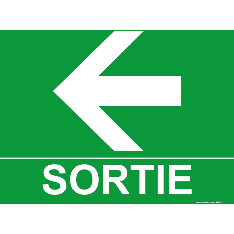 Panneau Sortie Flèche gauche -300 x 250 mm- Photoluminescent