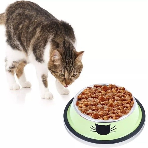 Alimentador de aço MyPetCare, verde