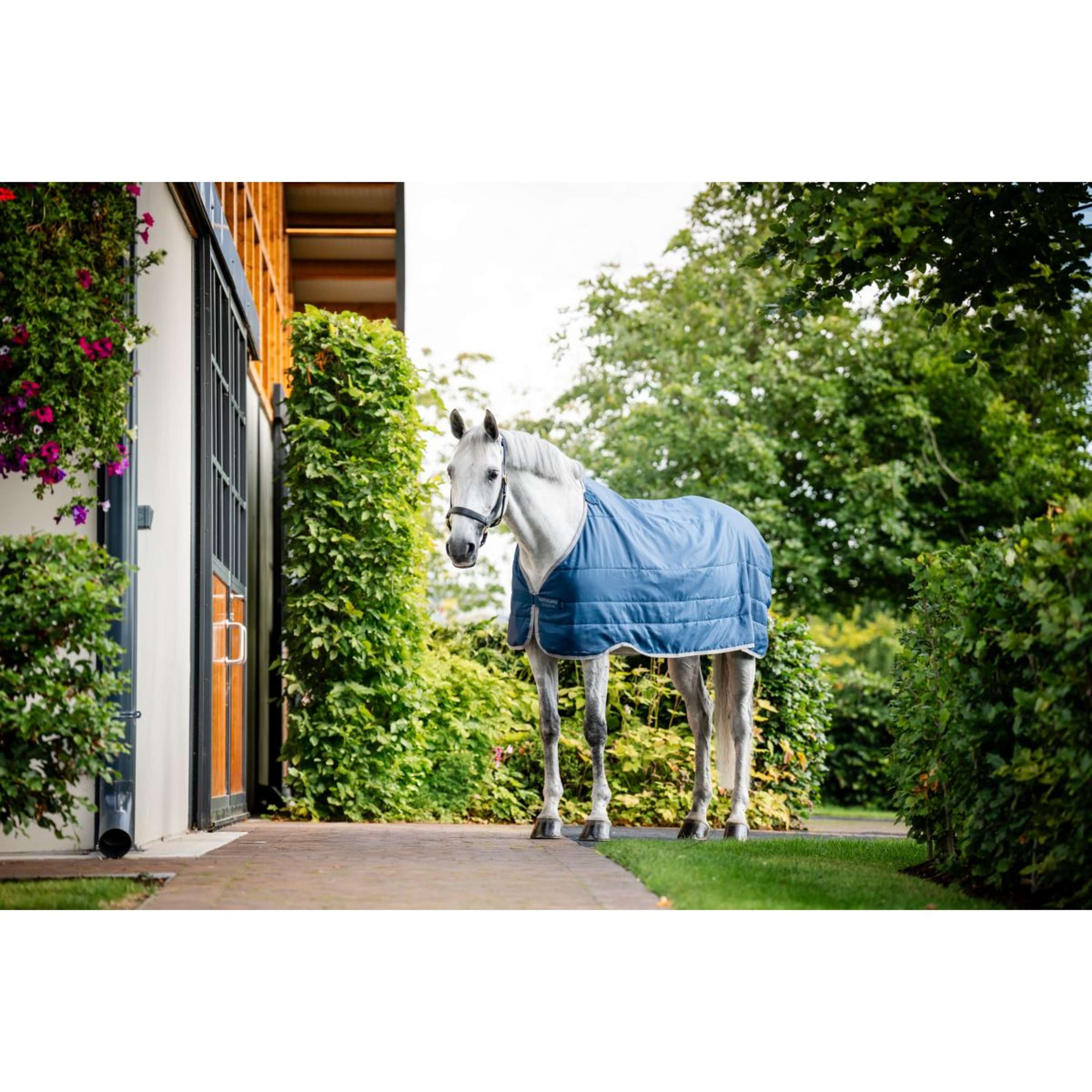 Horseware Therapy Ionic 50g Imperial Blue/Silver/Navy