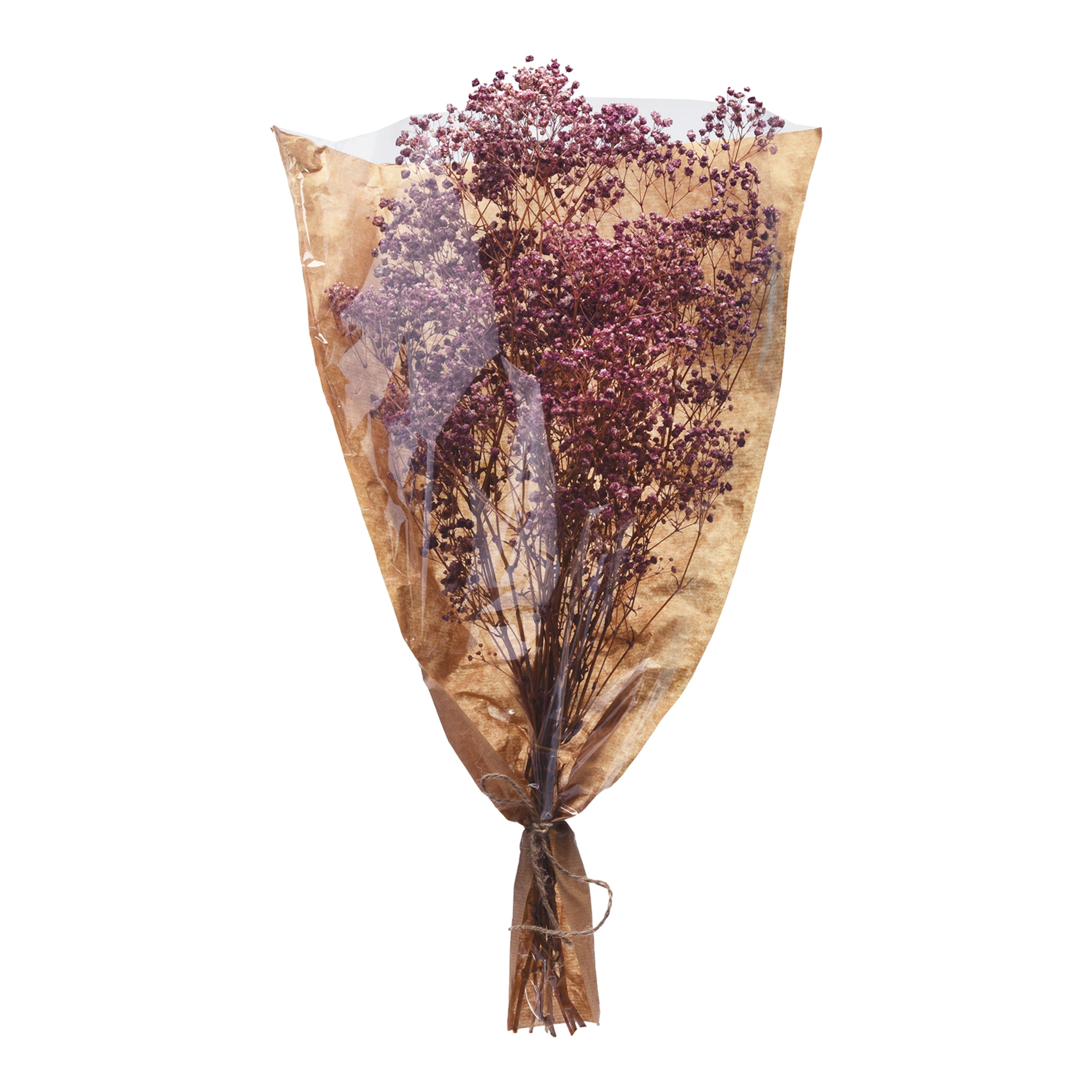 beere, L 55 cm