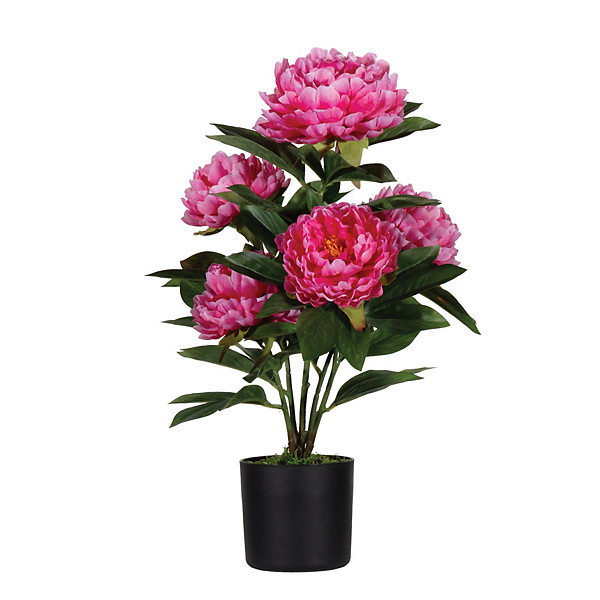 Fleur artificielle pivoine rose 55 cm