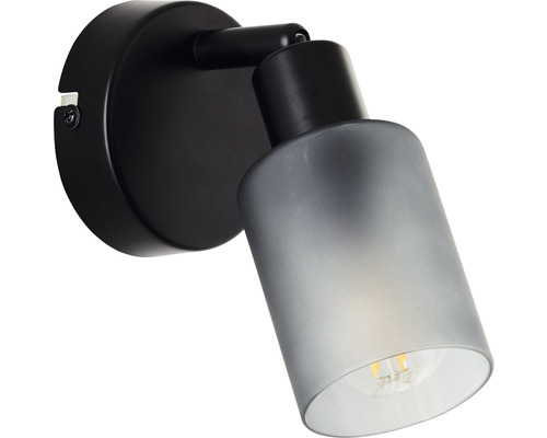 Wandspot, 1-lichts, HxBxD 13x8x16 cm, zwart/rookglas