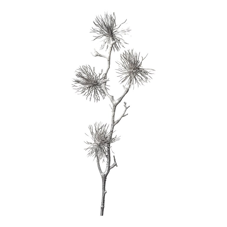 silber, L 80 cm