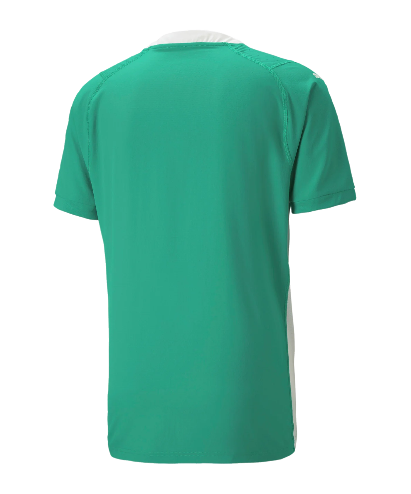 PUMA teamCUP Trikot Grün F05