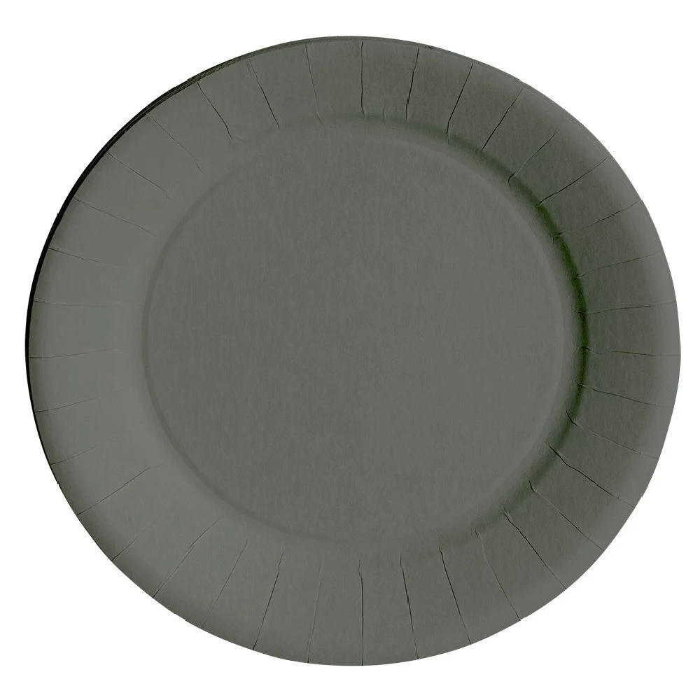 Lot de 10 assiettes en carton gris Ø23 cm