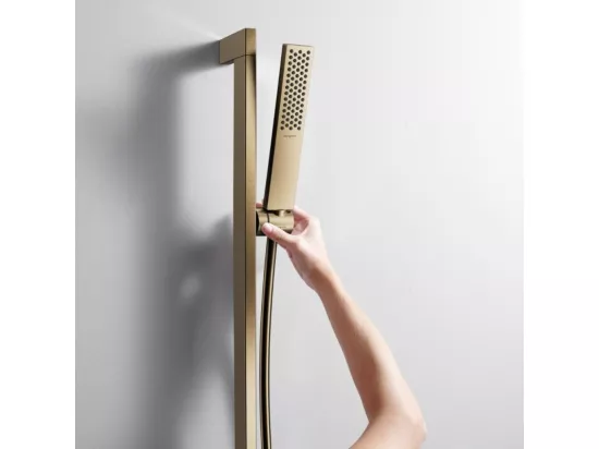 Pommeau de douche HANSGROHE Pulsify E 100 EcoSmart bronze brossé + flexible de douche HANSGROHE Designflex 200 cm bronze brossé