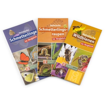 Bestimmungskarten Insekten (3 Stück)