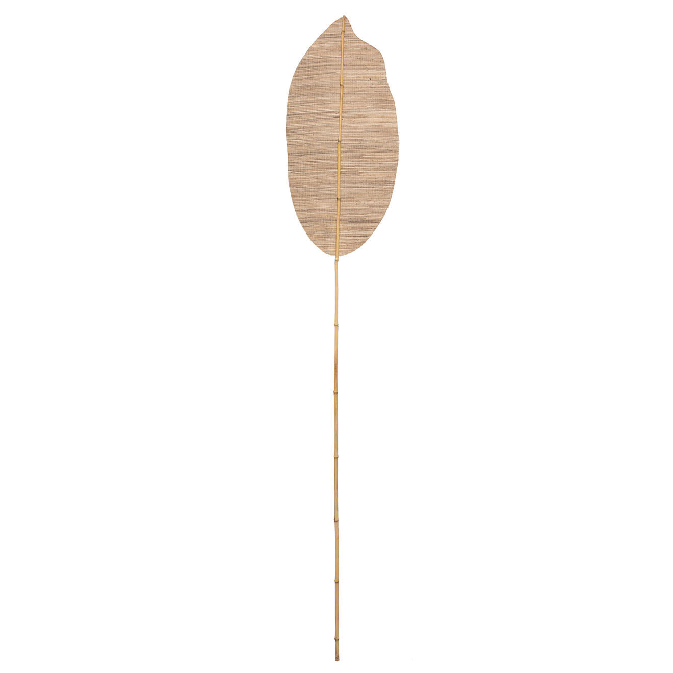 Bazar Bizar 2 Feuilles pagaie Ayung décoratives naturel - L.170 cm