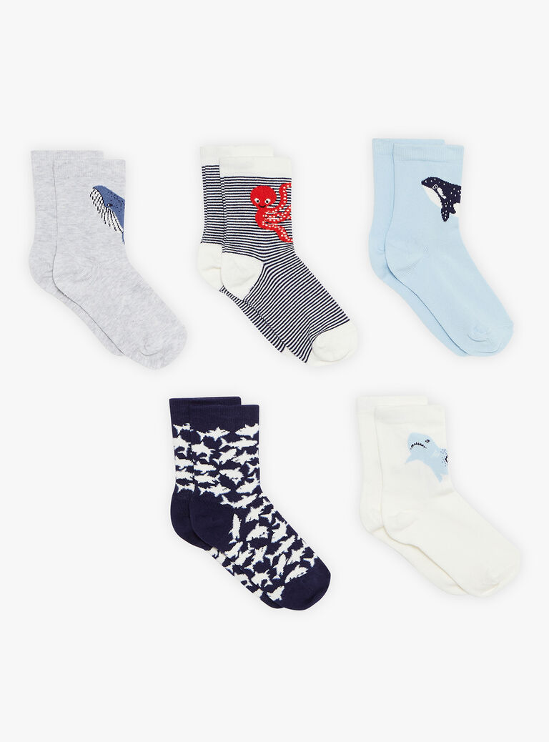 Lot de 5 chaussettes assorties