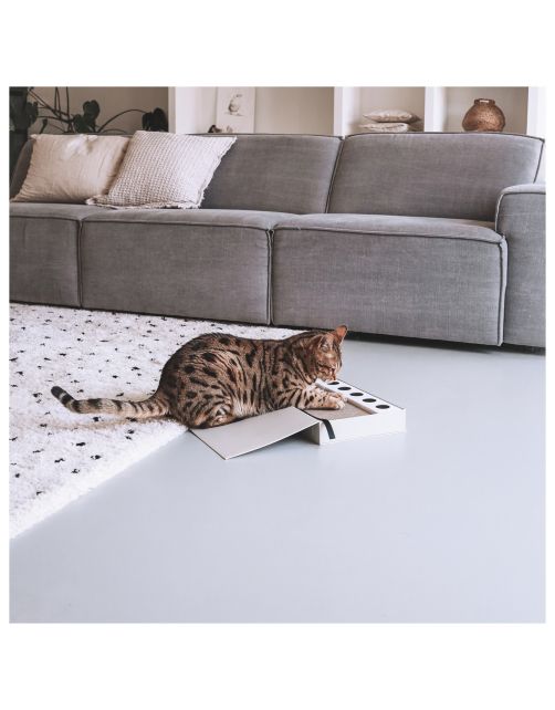 District 70 Masterpiece Coffee Table Book - Kattenspeelgoed - 36x25x6 cm Wit