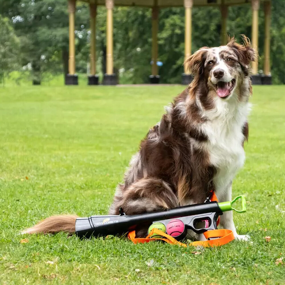 Dog Comets Launcher