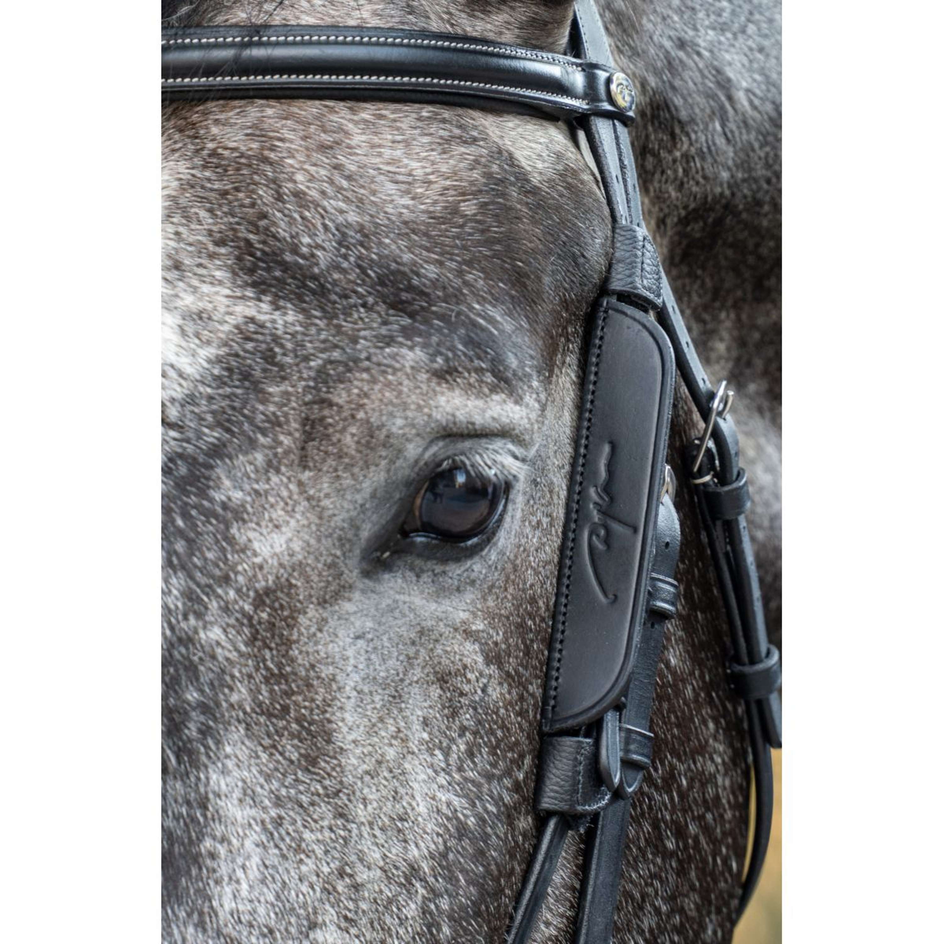 Dyon Blinkers Bruin