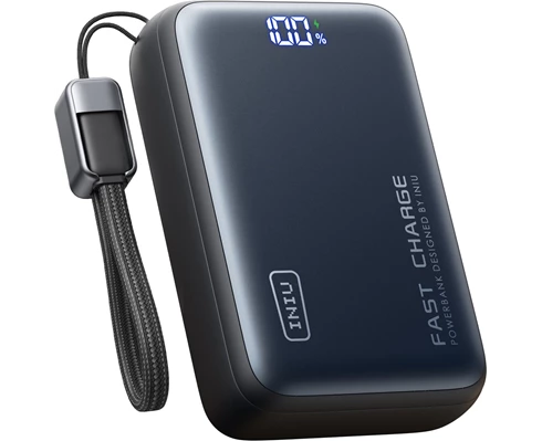 Iniu Leopard Power 100w