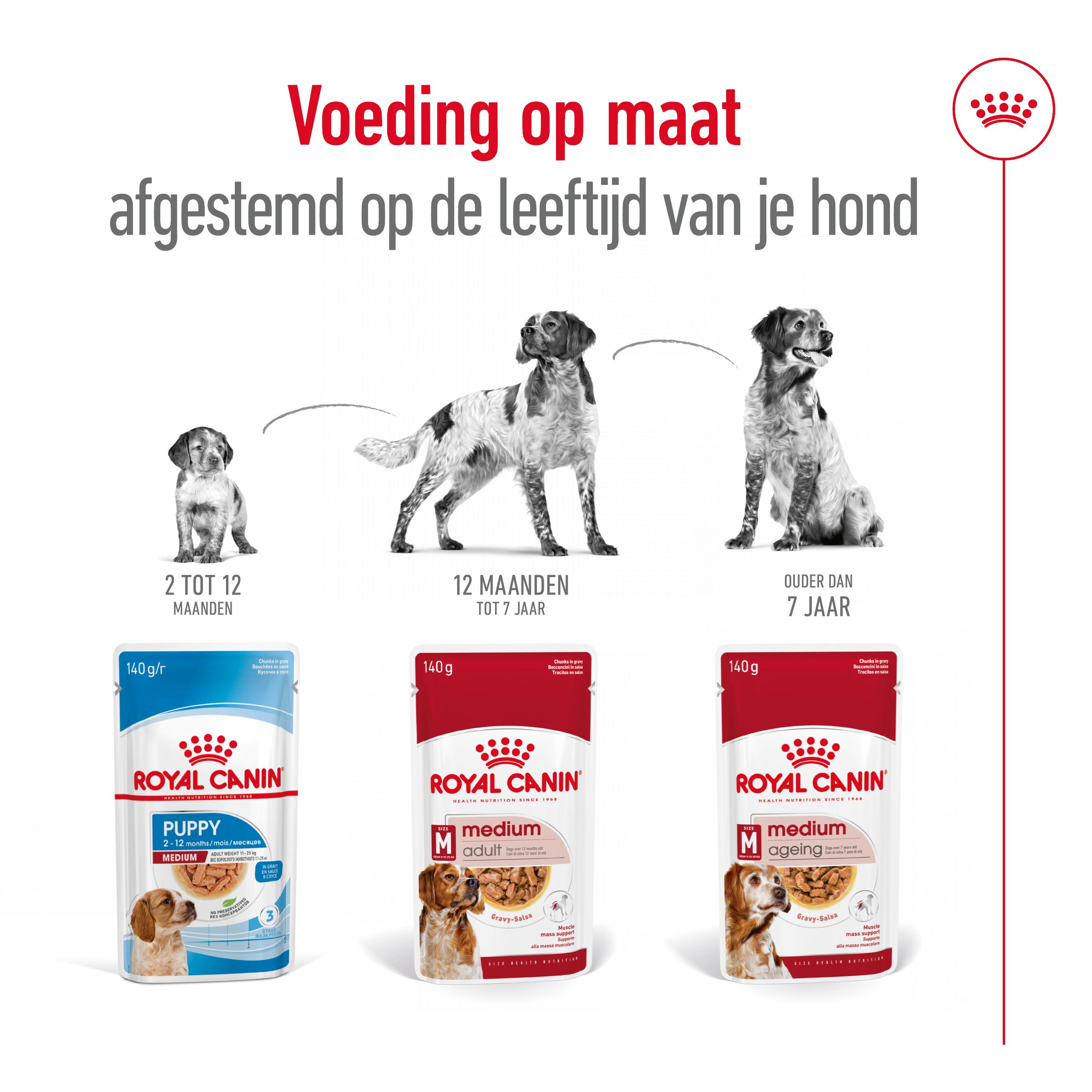 Royal Canin Medium Adult Wet - Hondenvoer