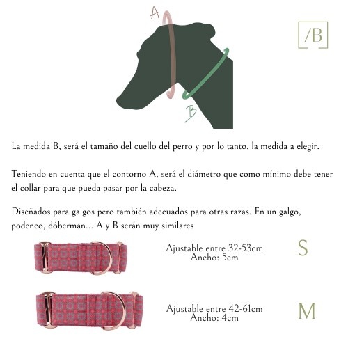 Coleira martingale Baona verde em nylon reciclado Guanabara para cães