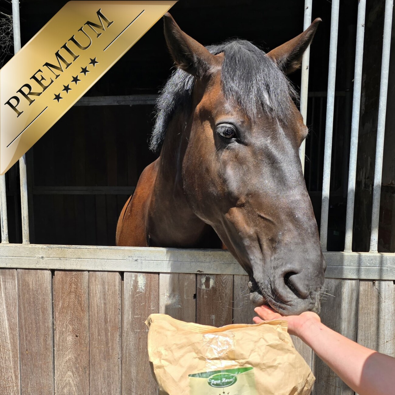 Lyra Pet Lyra Horse Klassik Müsli Pferdefutter