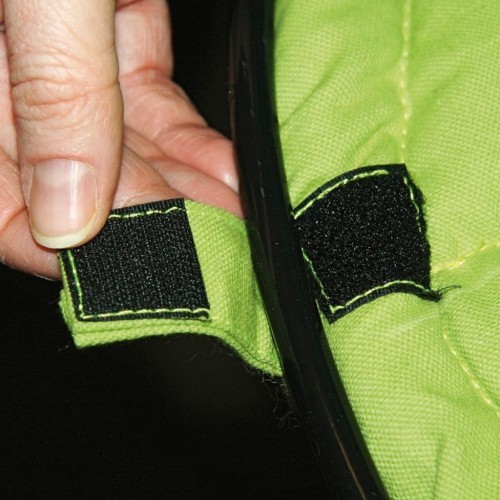 Cama de gato verde dos sonhos maravilhosos