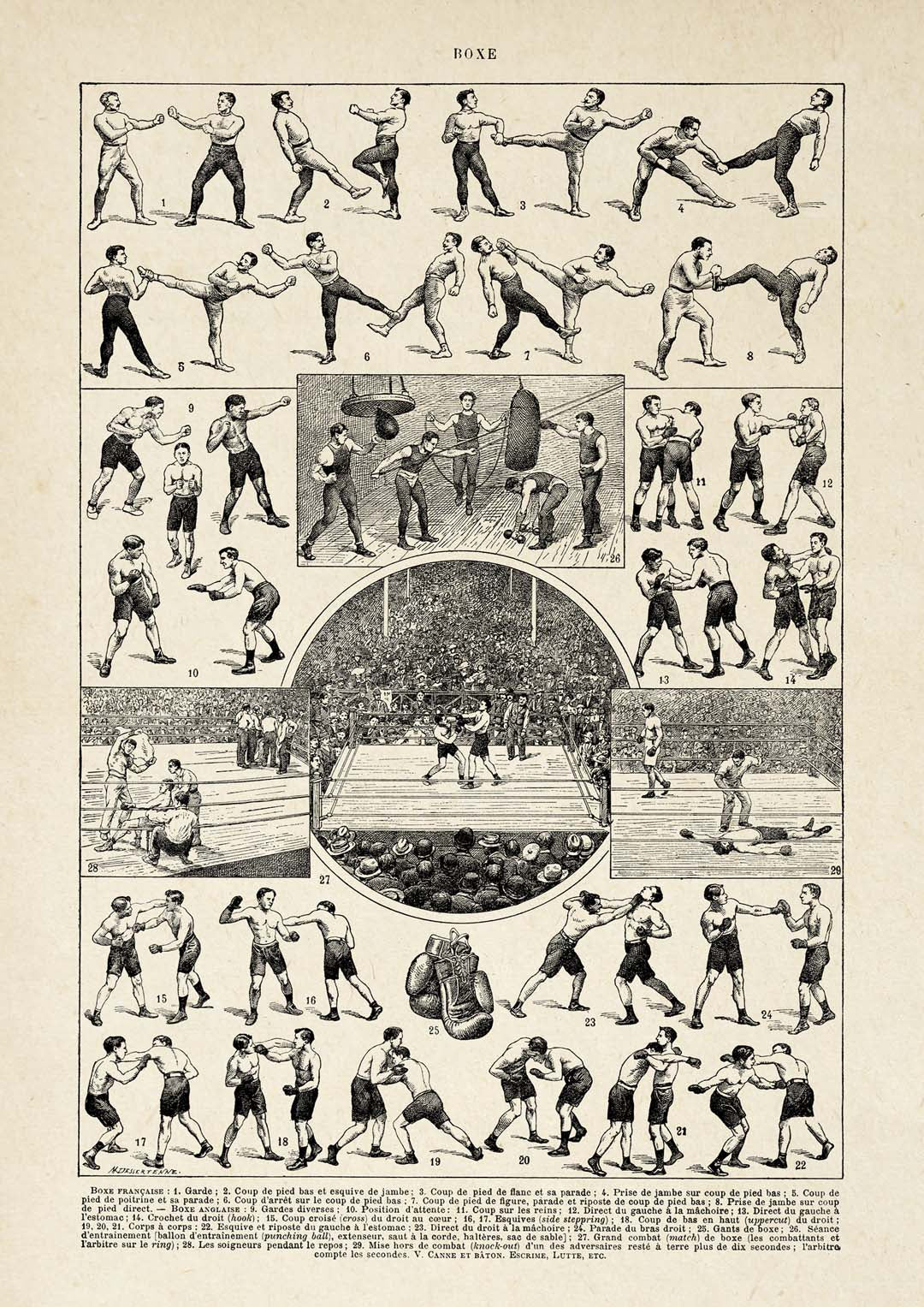 Vintage Boxe Larousse