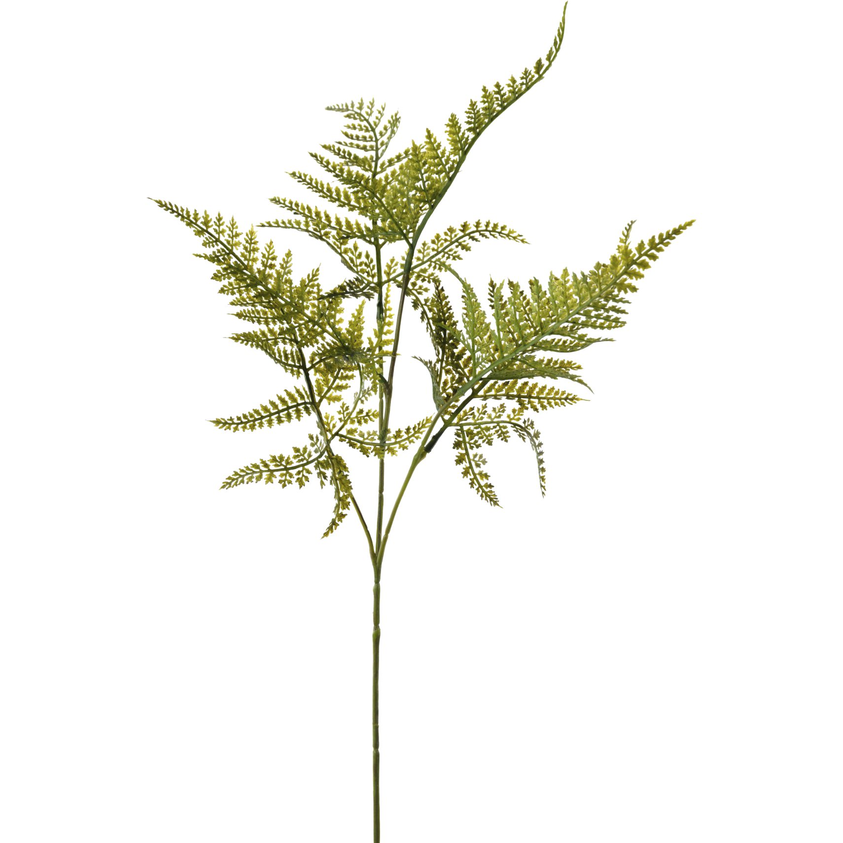 Bregne Kunstig plante 65 cm