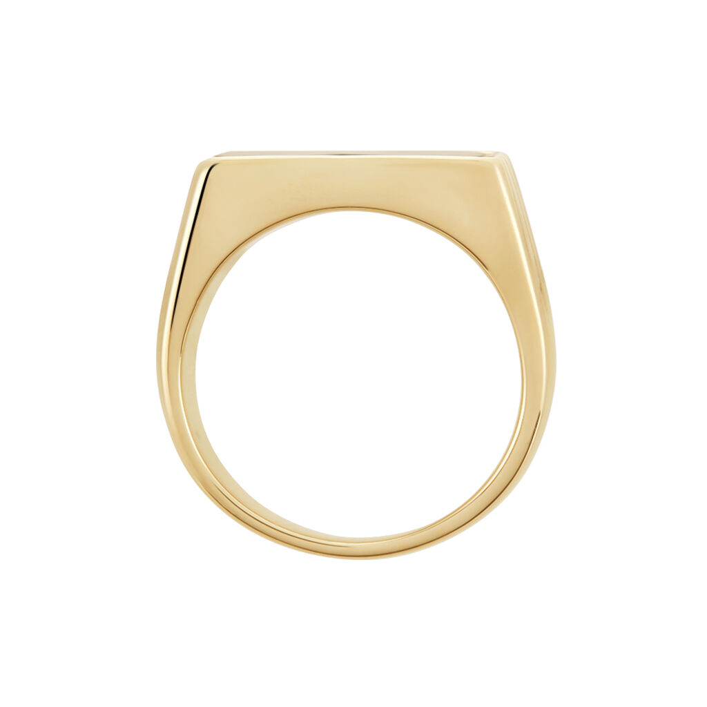 Chevalière Plaqué Hadrien Onyx