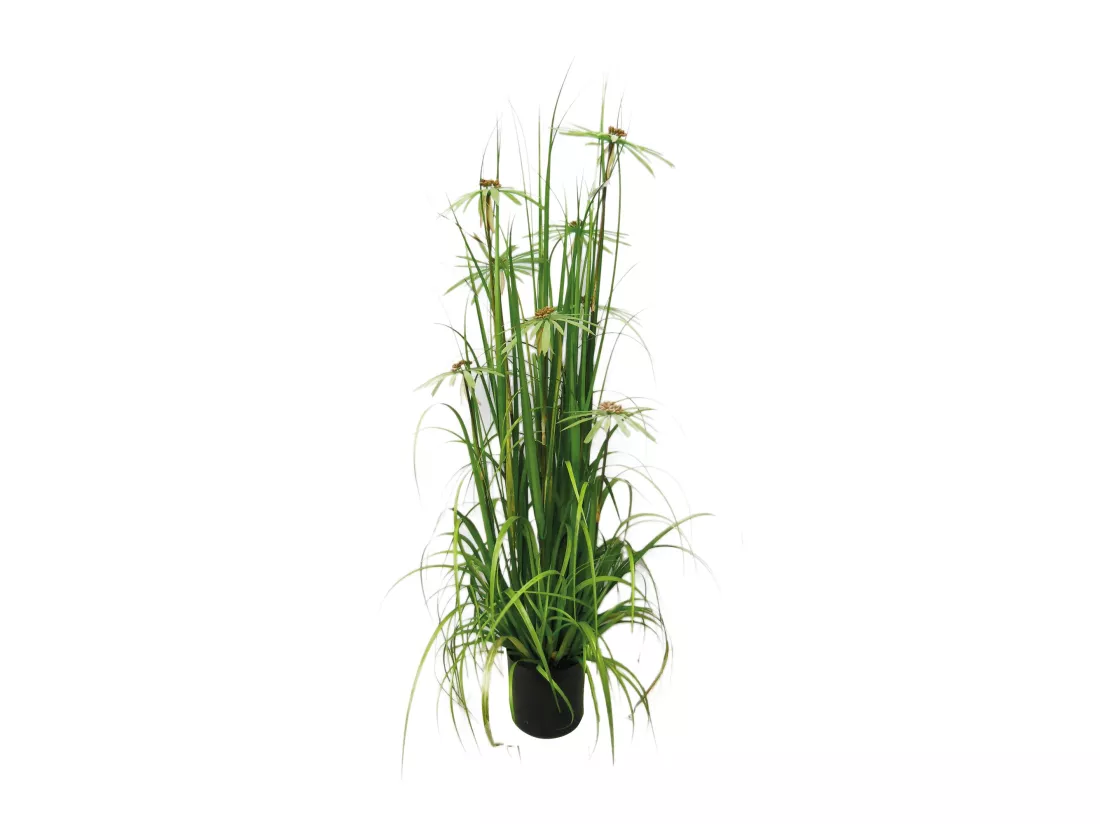 Now's Home - Plante Graminee A Fleurs Artificielle 20x17x150 Cm Aquaplanter