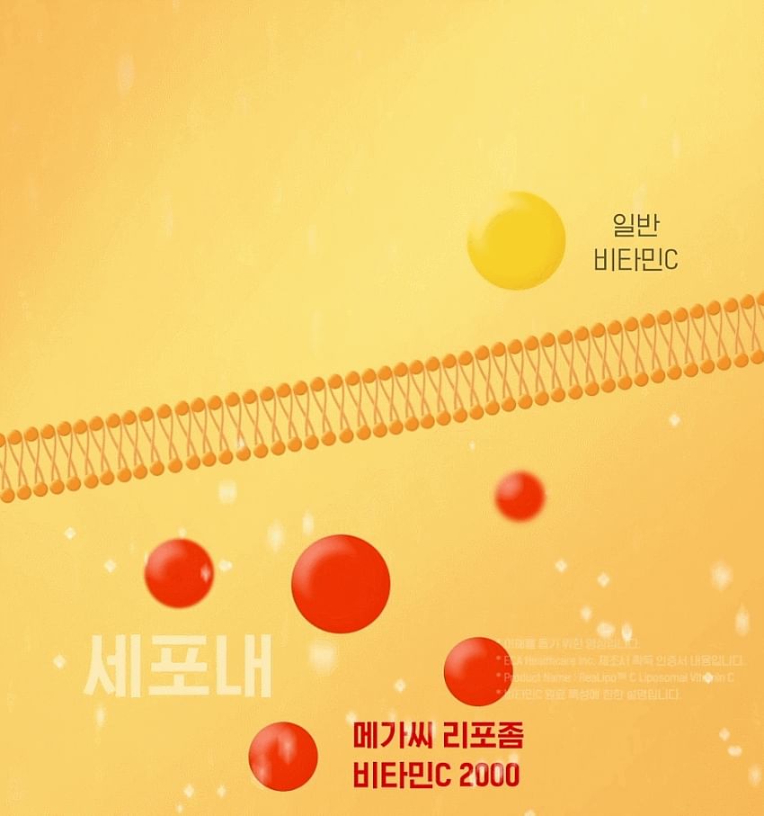 Vitaminedorp - Mega C Liposome Vitamine C 2000