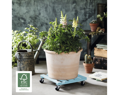 Wagner plantenwagen met kunststof wielen, 38 x 38 x 9,5 cm, hout, blauw