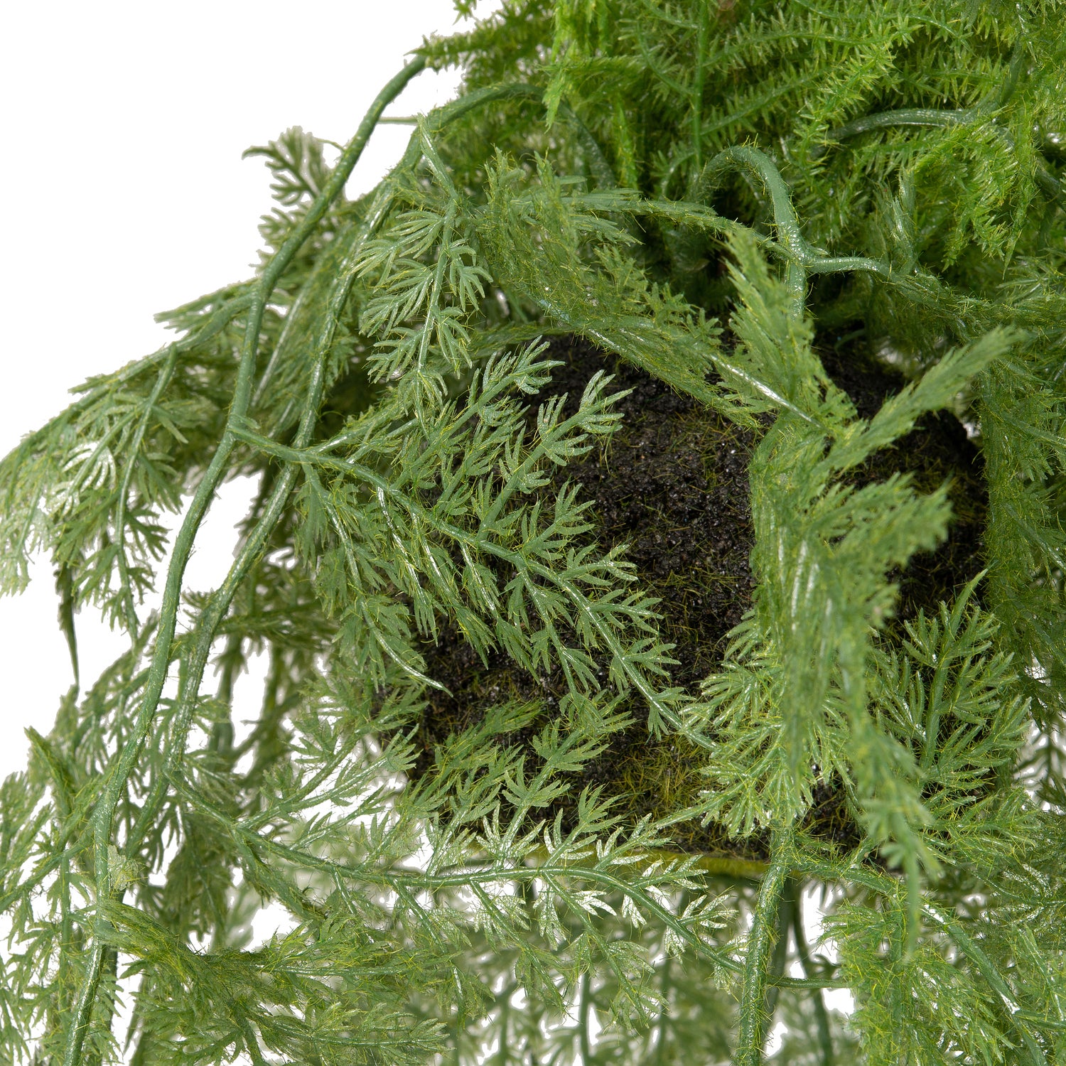 Intratuin kunsthangplant Sierasperge 61 cm