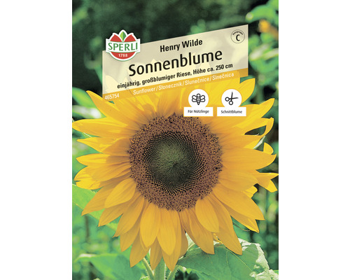 Zonnebloem Henry Wilde Sperli Open-pollinated zaden Bloemenzaden