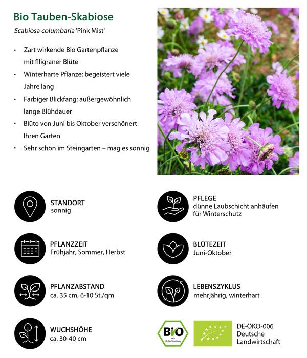 Bio Stauden-Set Einsteiger-Blütenmix,