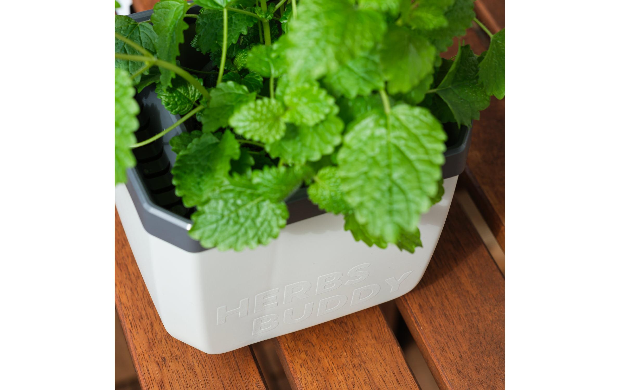 HERBS BUDDY Kräutertopf Grau/HellgrauKräutertopf mit Wasserreservoir und Kippfunktion