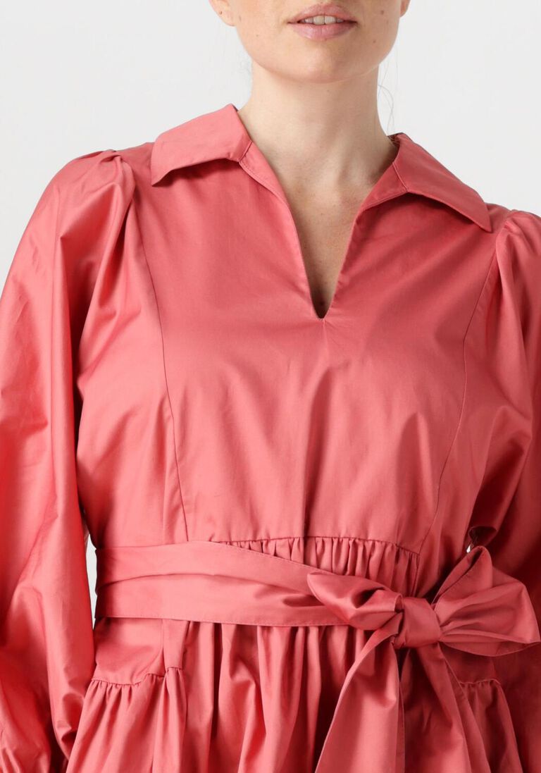 roze devotion mini jurk precious