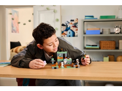 LEGO De Trial Chamber (21271)