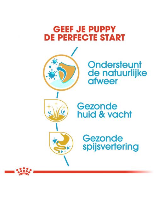 Royal Canin Golden Retriever - Puppy-Hondenvoer