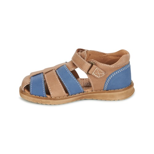 Citrouille et Compagnie - FRINOUI - Marron / Bleu