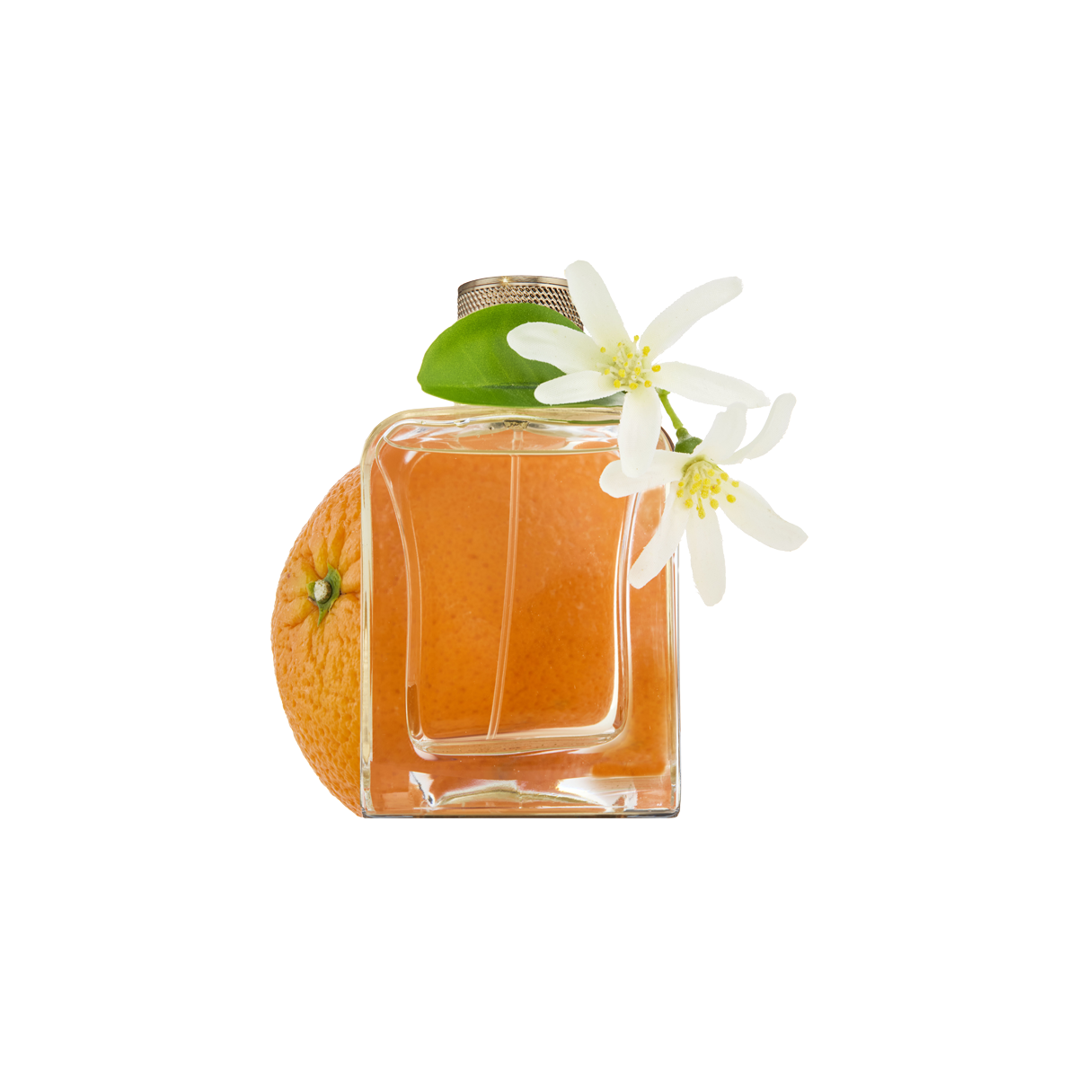 Souvenirs De Tunisie Eau de Parfum 85ml