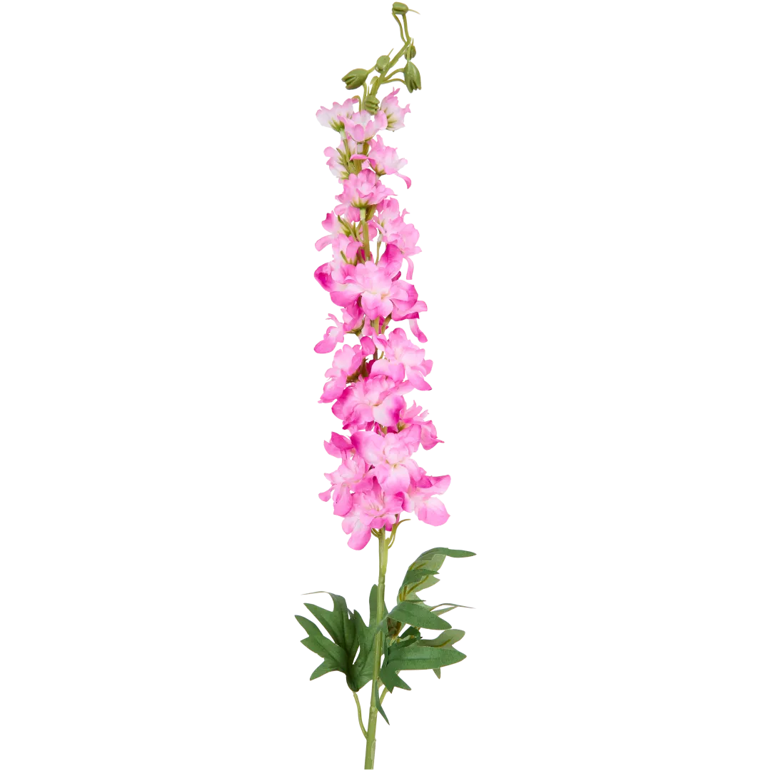 Delphinium sur tige