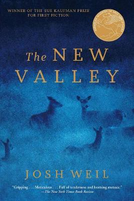 The New Valley: Novellas (Paperback)