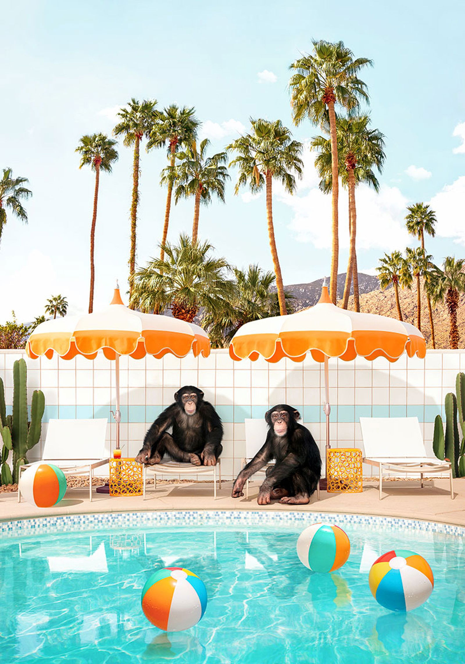 Chimp Party by Paul Fuentes - Open Edition.