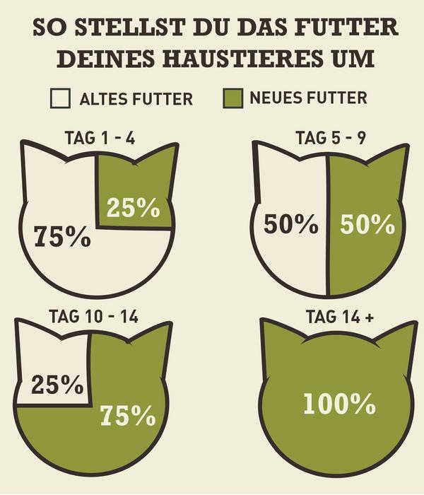 ACANA Trockenfutter für Katzen Regionals Cat