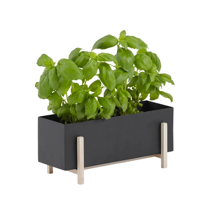 Design House Stockholm - Botanic Box, schwarz / natur
