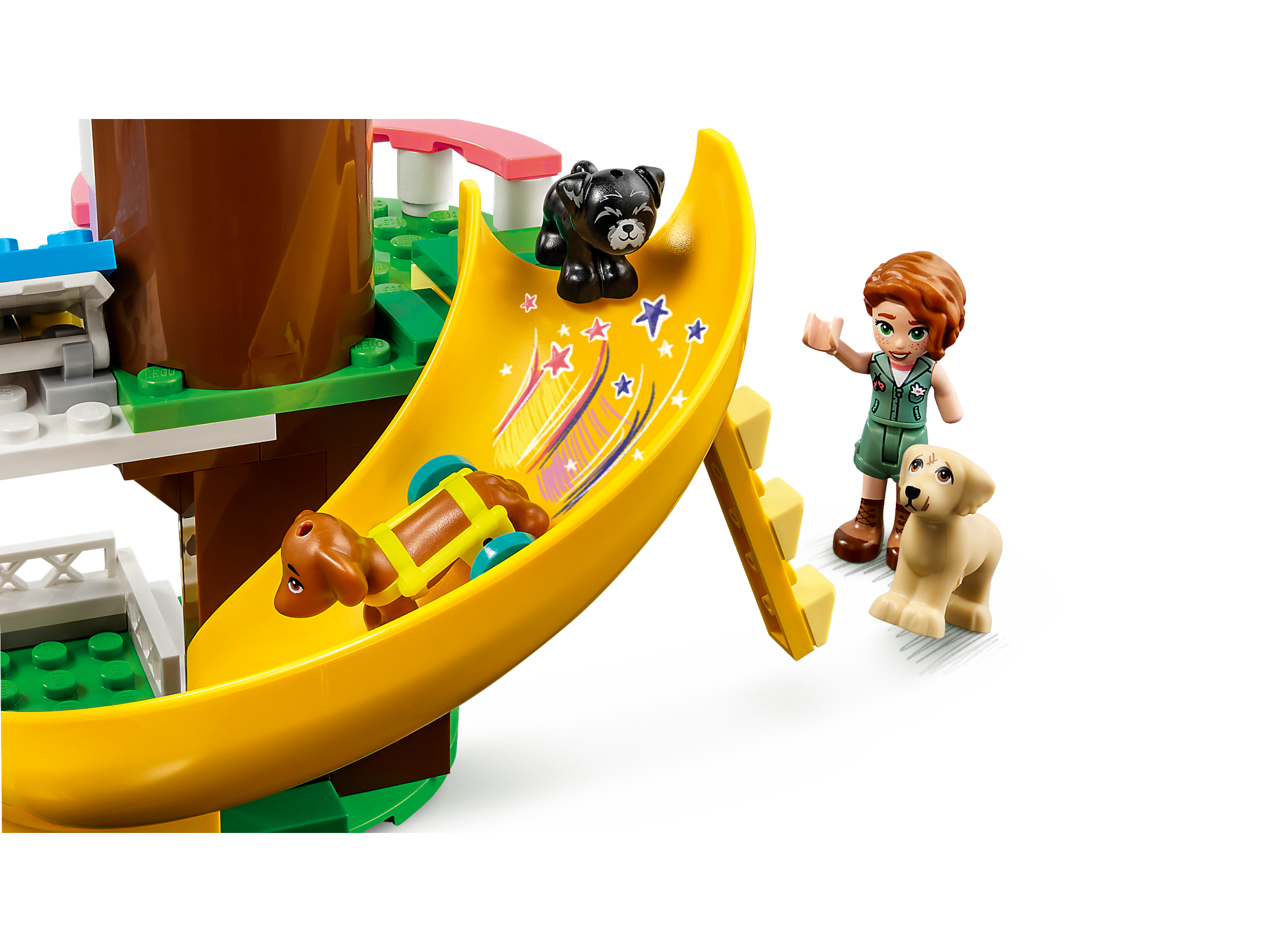 O Centro de Resgate Canino 41727