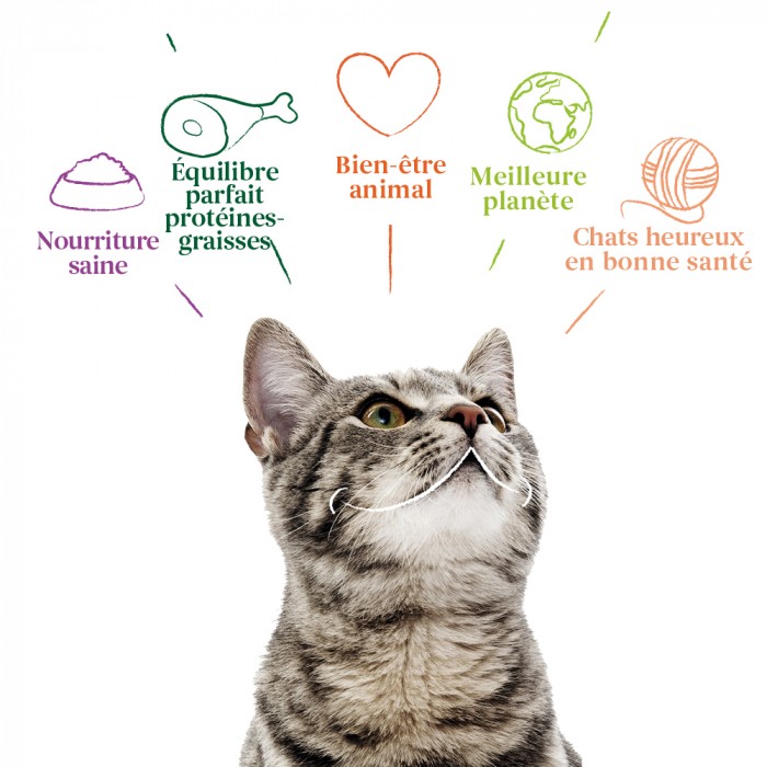 Yarrah mini snacks bio pour chat