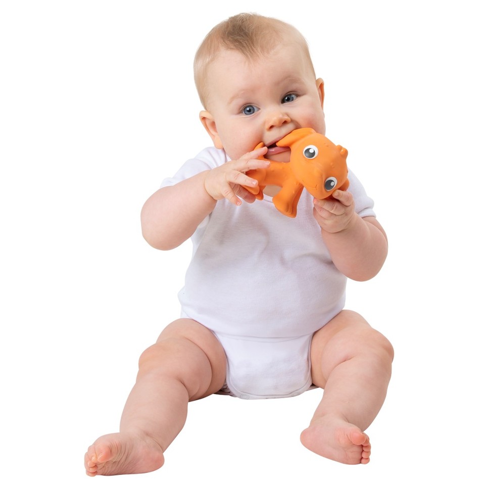 PLAYGRO - Pooky naturgummi hund - orange