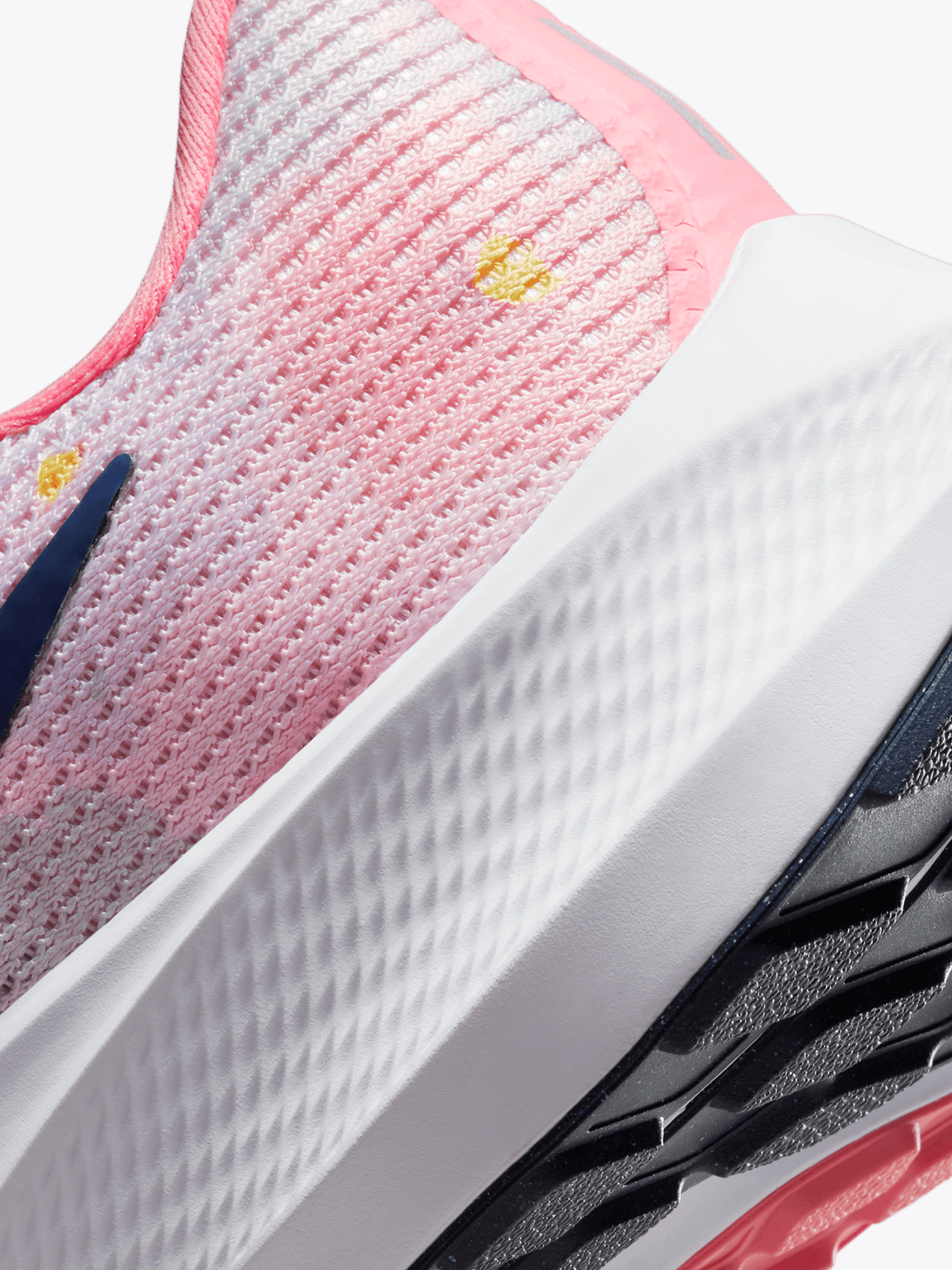 Pegasus 40 Premium