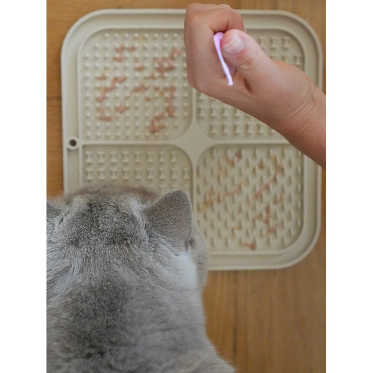 LEO LÖWENKATZ 2 x Schleckmatte für Katzen | Katzen Leckmatte | 2 Stück Slow Feeder aus lebensmittelechtem Silikon mit Bürste und Spatel