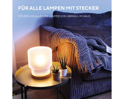 Trust Compact Socket Dimmer ACC-250